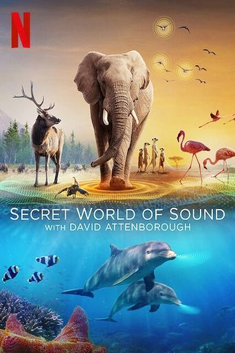 Secret World of Sound