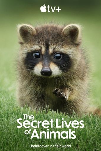 Watch The Secret Lives of Animals