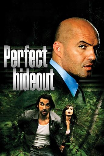 Watch Perfect Hideout