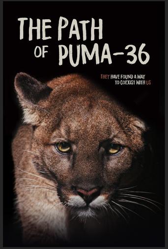 The Path of Puma-36