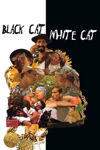 Watch Black Cat, White Cat