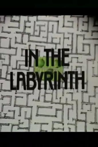 In the Labyrinth