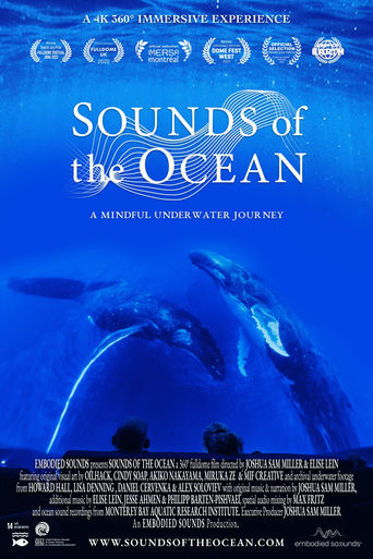 Sounds of the Ocean: A Mindful Underwater Journey