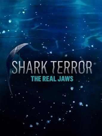 Shark Terror: The Real Jaws