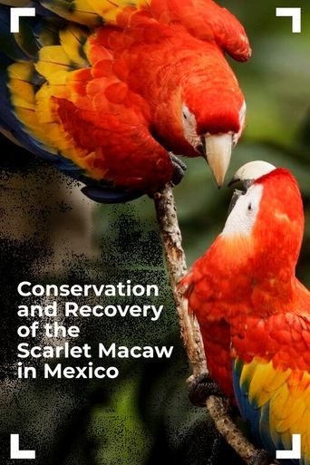 Conservation and Recovery of the Scarlet Macaw in Mexico