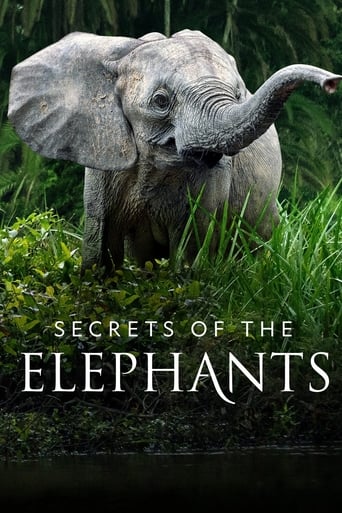 Watch Secrets of the Elephants