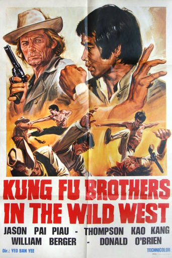 Watch Kung Fu Brothers in the Wild West