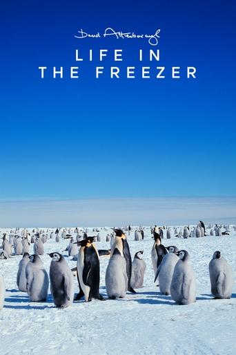 Watch Life in the Freezer