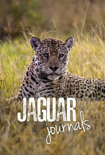 Watch Jaguar Journals