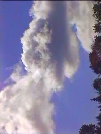 Spring (The Laundry Lesson)