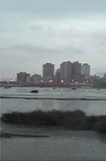 Moonlight in the River