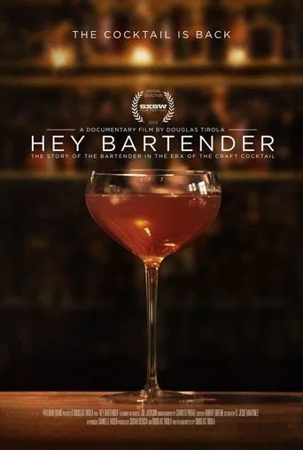 Watch Hey Bartender