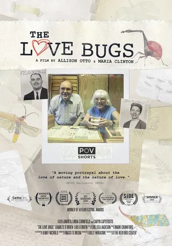Watch The Love Bugs
