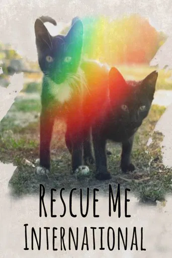 Watch Rescue Me: International