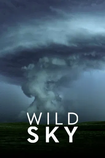 Wild Sky