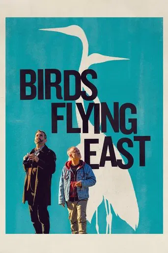 Watch Birds Flying East