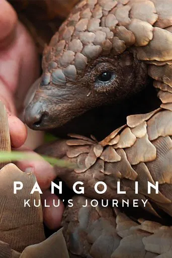 Watch Pangolin: Kulu's Journey