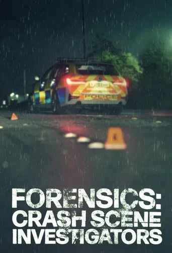 Forensics: Crash Scene Investigators