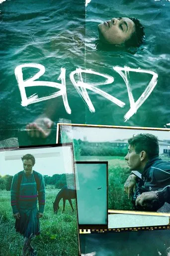 Watch Bird