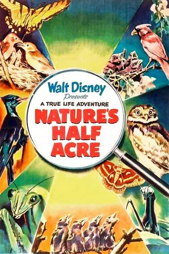 Watch Nature's Half Acre