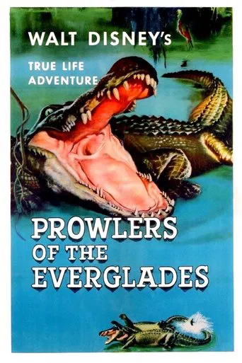 Watch Prowlers of the Everglades