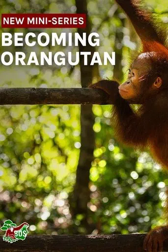 Watch Becoming Orangutan