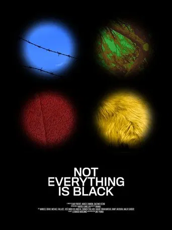 Watch Not Everything Is Black