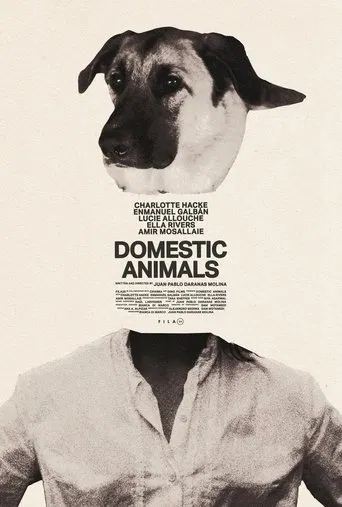Domestic Animals