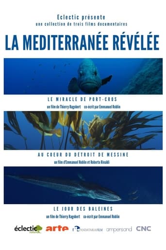 La Méditerranée révélée