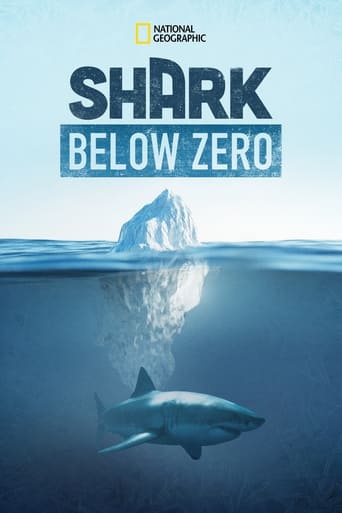 Tiburones bajo cero