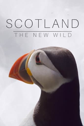 Scotland The New Wild