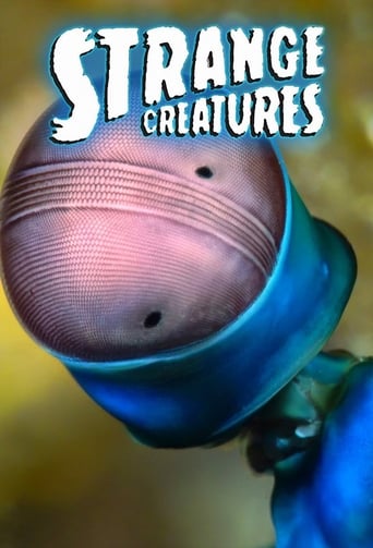 Extrañas criaturas