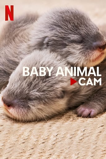 Bebés animales - Webcam