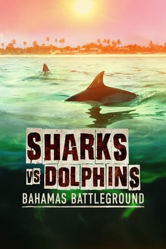 Tiburones vs delfines: batalla en las Bahamas