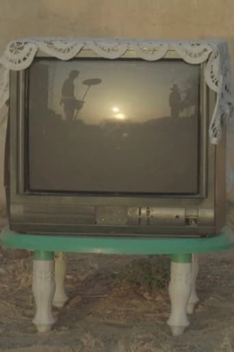 La guêpe et l’orchidée