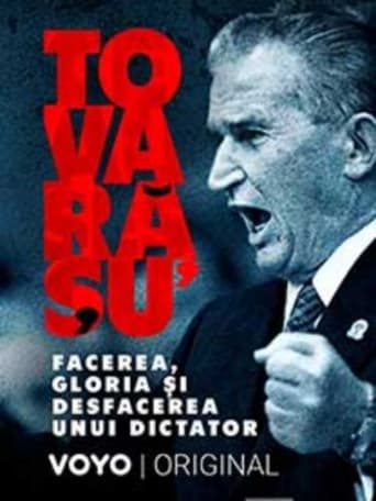 Tovarășul