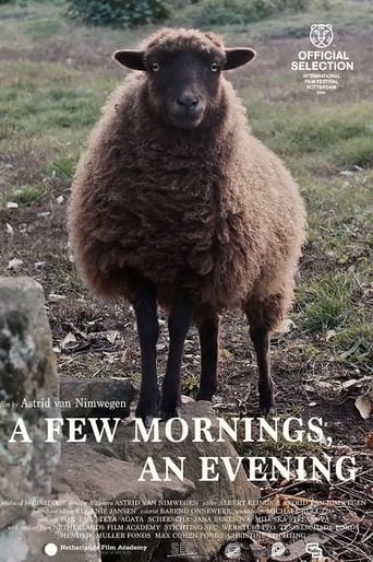 a Few Mornings, an Evening