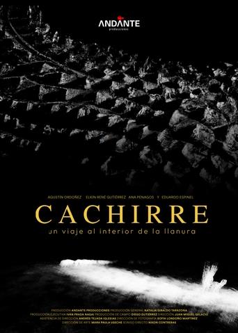 Cachirre