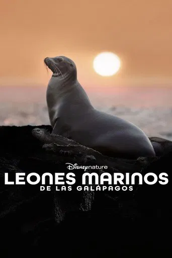 Los leones marinos de las Galápagos