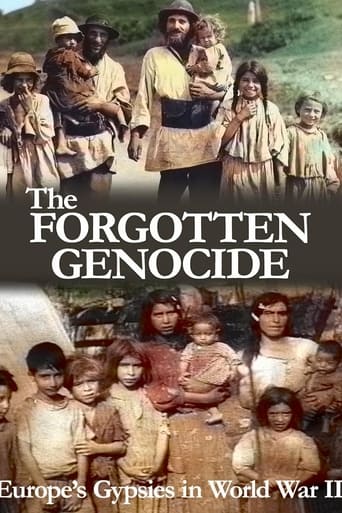 Mémoires tsiganes, l'autre génocide: Les Tsiganes dans l'Europe de la Seconde Guerre mondiale