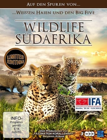 Wildlife Südafrika