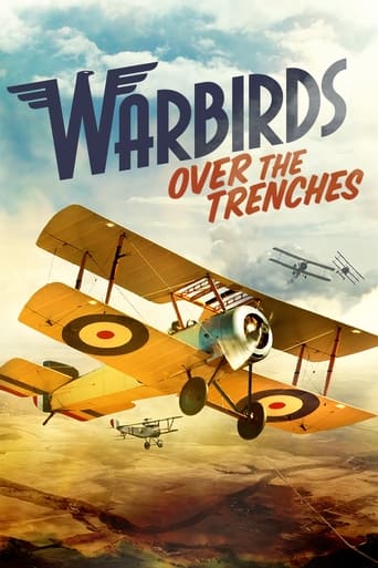 Warbirds Over the Trenches