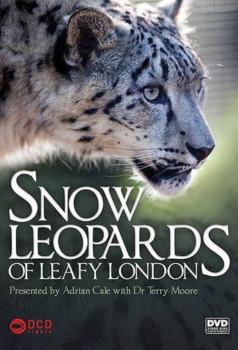 Snow Leopards of Leafy London