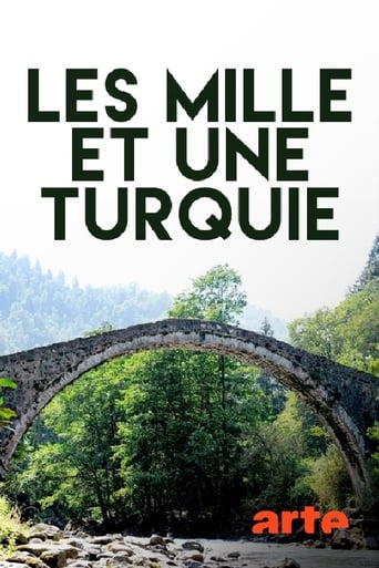 Les Mille et une Turquie