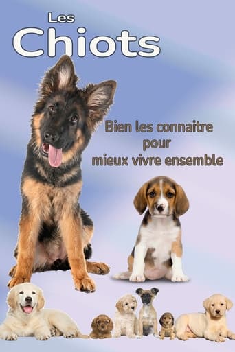 Les Chiots 