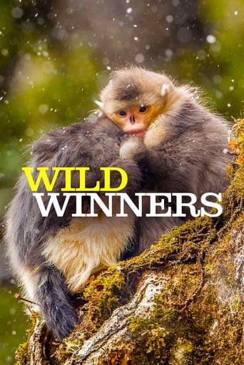 Wild Winners