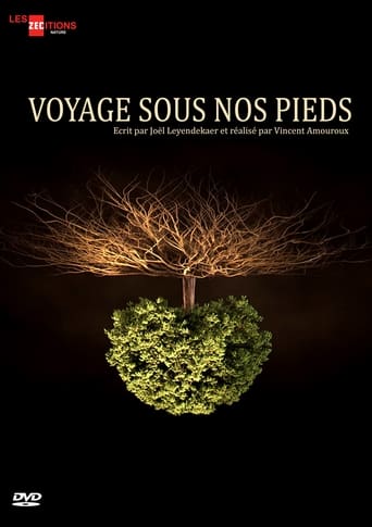 Voyage sous nos pieds