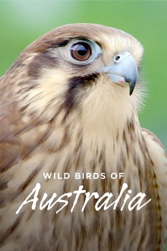 Oiseaux sauvages d'Australie