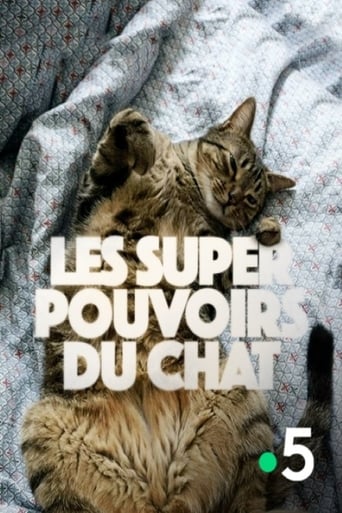 Les super-pouvoirs du chat