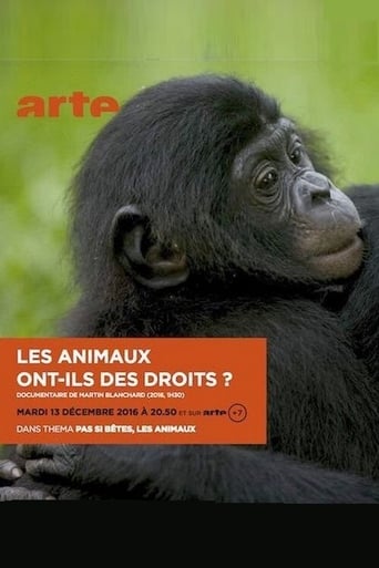 Les animaux ont ils des droits?